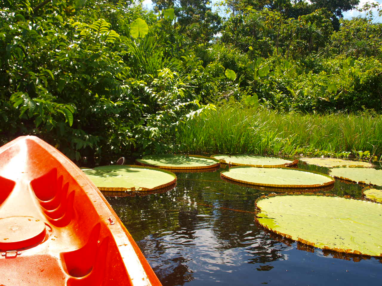 Lugares imperdibles Amazonas