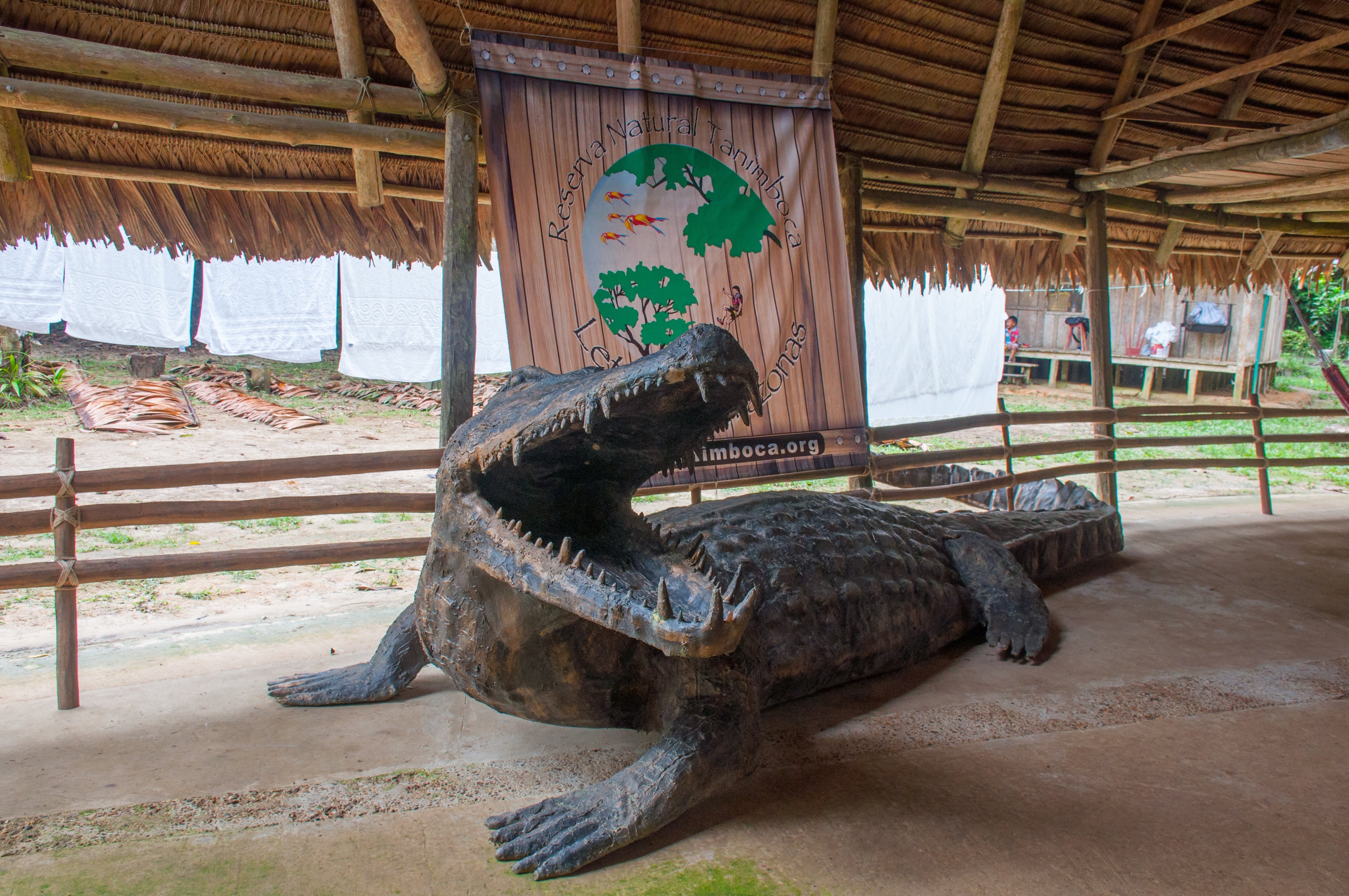 Lugares imperdibles Amazonas